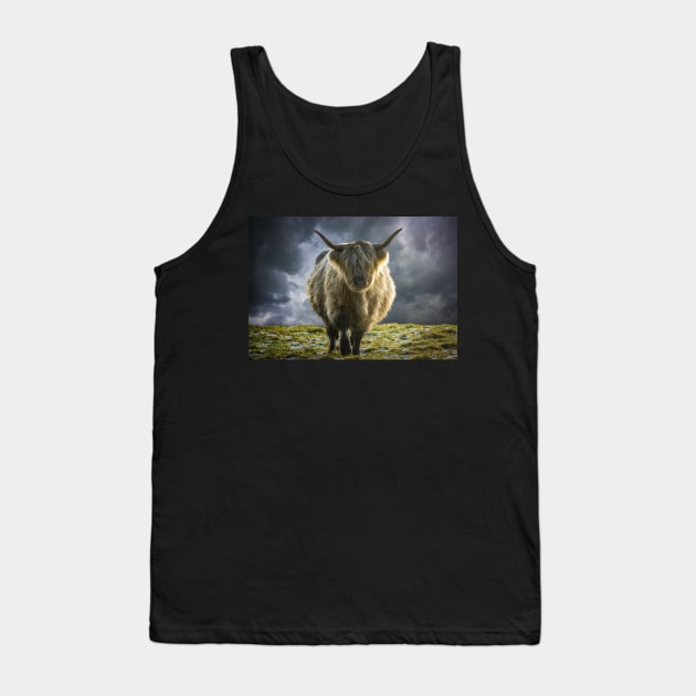 Scottish Highland Cow In The Winter Sun Tank Top by mrdoomits